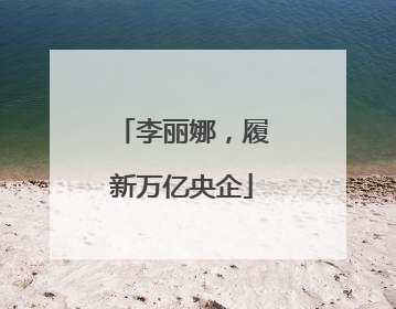 李丽娜，履新万亿央企