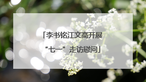 李书铭江文高开展“七一”走访慰问