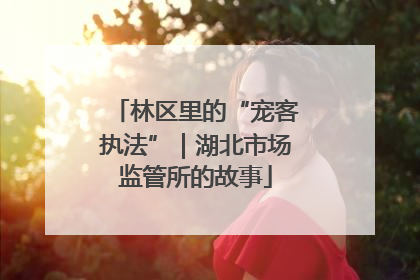 林区里的“宠客执法”｜湖北市场监管所的故事