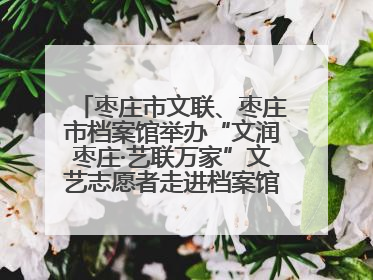 枣庄市文联、枣庄市档案馆举办“文润枣庄·艺联万家”文艺志愿者走进档案馆主题活动