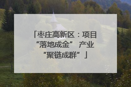 枣庄高新区：项目“落地成金” 产业“聚链成群”