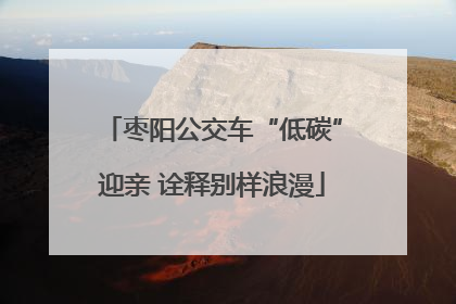 枣阳公交车“低碳”迎亲 诠释别样浪漫