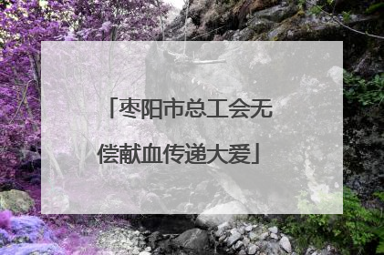 枣阳市总工会无偿献血传递大爱