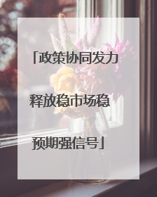 政策协同发力 释放稳市场稳预期强信号