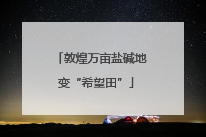 敦煌万亩盐碱地变“希望田”