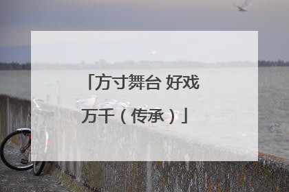 方寸舞台 好戏万千（传承）