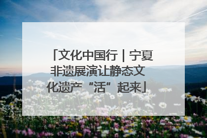 文化中国行｜宁夏 非遗展演让静态文化遗产“活”起来