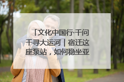 文化中国行·千问千寻大运河｜宿迁这座泵站，如何稳坐亚洲第一宝座？