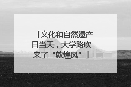 文化和自然遗产日当天，大学路吹来了“敦煌风”