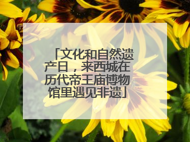 文化和自然遗产日，来西城在历代帝王庙博物馆里遇见非遗