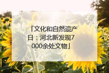 文化和自然遗产日：河北新发现7000余处文物