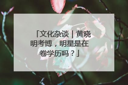 文化杂谈｜黄晓明考博，明星是在卷学历吗？