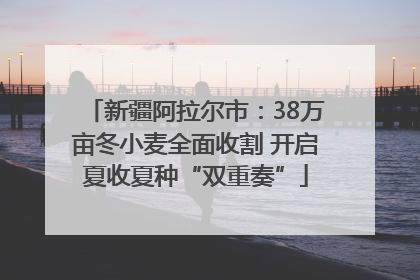 新疆阿拉尔市：38万亩冬小麦全面收割 开启夏收夏种“双重奏”