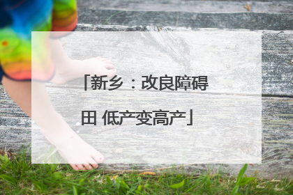新乡：改良障碍田 低产变高产