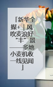 新华全媒+｜风吹麦浪好“丰”景——多地小麦机收一线见闻