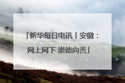 新华每日电讯丨安徽：网上网下 崇德向善