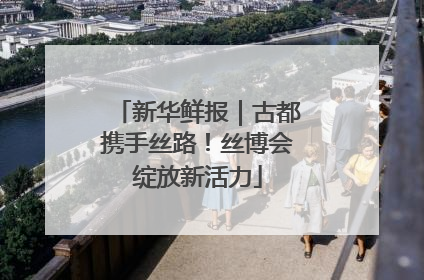 新华鲜报｜古都携手丝路！丝博会绽放新活力