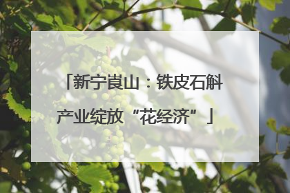 新宁崀山：铁皮石斛产业绽放“花经济”