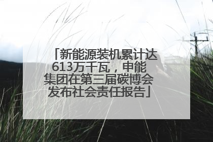 新能源装机累计达613万千瓦，申能集团在第三届碳博会发布社会责任报告