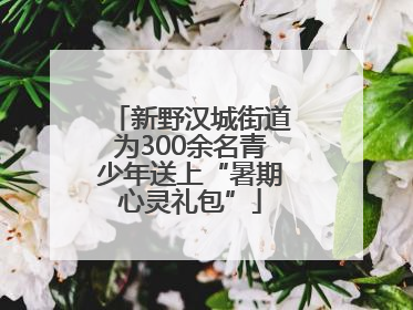 新野汉城街道为300余名青少年送上“暑期心灵礼包”