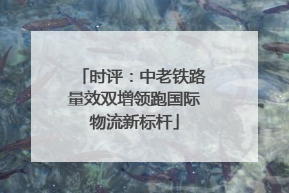 时评：中老铁路量效双增领跑国际物流新标杆