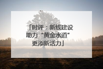 时评：新线建设助力“黄金水道”更添新活力