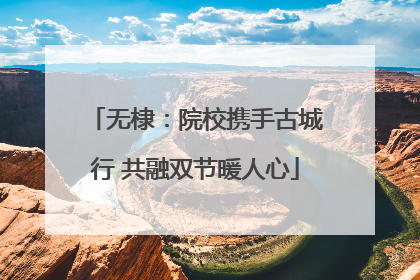 无棣：院校携手古城行 共融双节暖人心