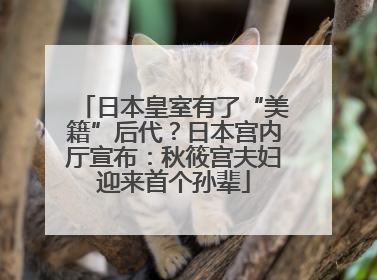 日本皇室有了“美籍”后代？日本宫内厅宣布：秋筱宫夫妇迎来首个孙辈