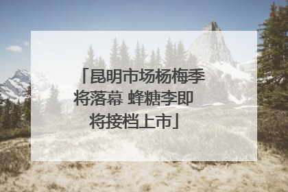 昆明市场杨梅季将落幕 蜂糖李即将接档上市