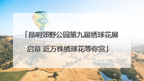 昆明郊野公园第九届绣球花展启幕 近万株绣球花等你赏