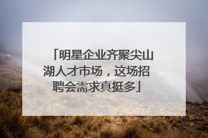明星企业齐聚尖山湖人才市场，这场招聘会需求真挺多