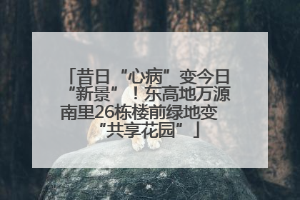 昔日“心病”变今日“新景”！东高地万源南里26栋楼前绿地变“共享花园”