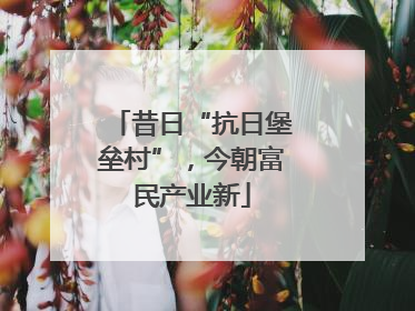 昔日“抗日堡垒村”，今朝富民产业新
