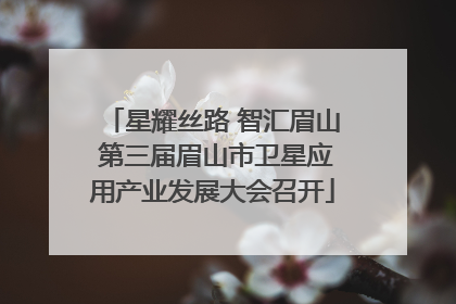 星耀丝路 智汇眉山 第三届眉山市卫星应用产业发展大会召开