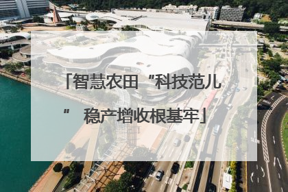 智慧农田“科技范儿” 稳产增收根基牢