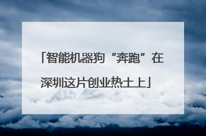 智能机器狗“奔跑”在深圳这片创业热土上