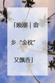 晚潮｜畲乡“金枕”又飘香