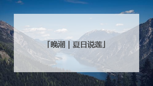 晚潮｜夏日说莲