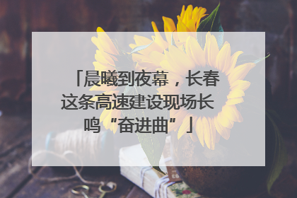 晨曦到夜幕，长春这条高速建设现场长鸣“奋进曲”