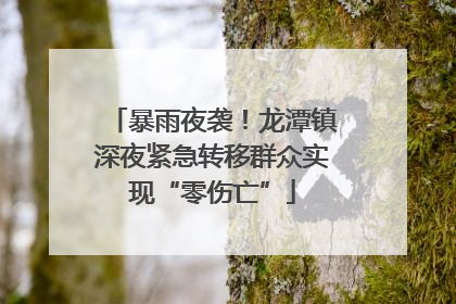 暴雨夜袭！龙潭镇深夜紧急转移群众实现“零伤亡”