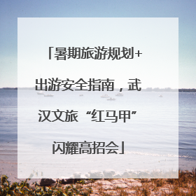 暑期旅游规划+出游安全指南，武汉文旅“红马甲”闪耀高招会