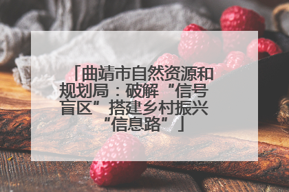 曲靖市自然资源和规划局：破解“信号盲区”搭建乡村振兴“信息路”