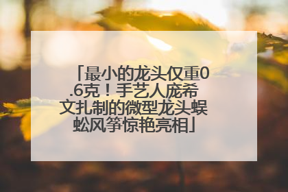 最小的龙头仅重0.6克！手艺人庞希文扎制的微型龙头蜈蚣风筝惊艳亮相