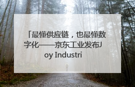 最懂供应链，也最懂数字化——京东工业发布Joy Industrial 重塑工业未来