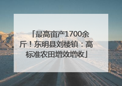 最高亩产1700余斤！东明县刘楼镇：高标准农田增效增收