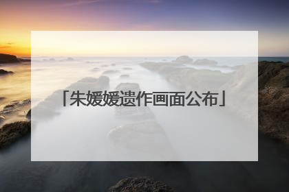 朱媛媛遗作画面公布