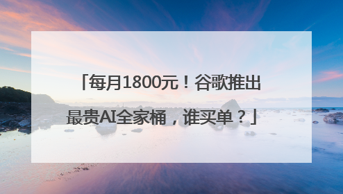每月1800元！谷歌推出最贵AI全家桶，谁买单？