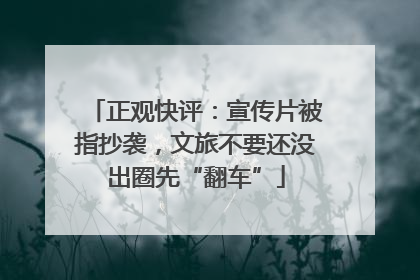 正观快评：宣传片被指抄袭，文旅不要还没出圈先“翻车”