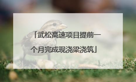 武松高速项目提前一个月完成现浇梁浇筑
