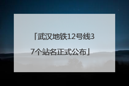 武汉地铁12号线37个站名正式公布